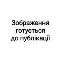 артикул: 2999-7531 Універсальний кондиціонер для шерсті тварин Wahl Easy Groom 64:1 Improved Formula 500 мл.